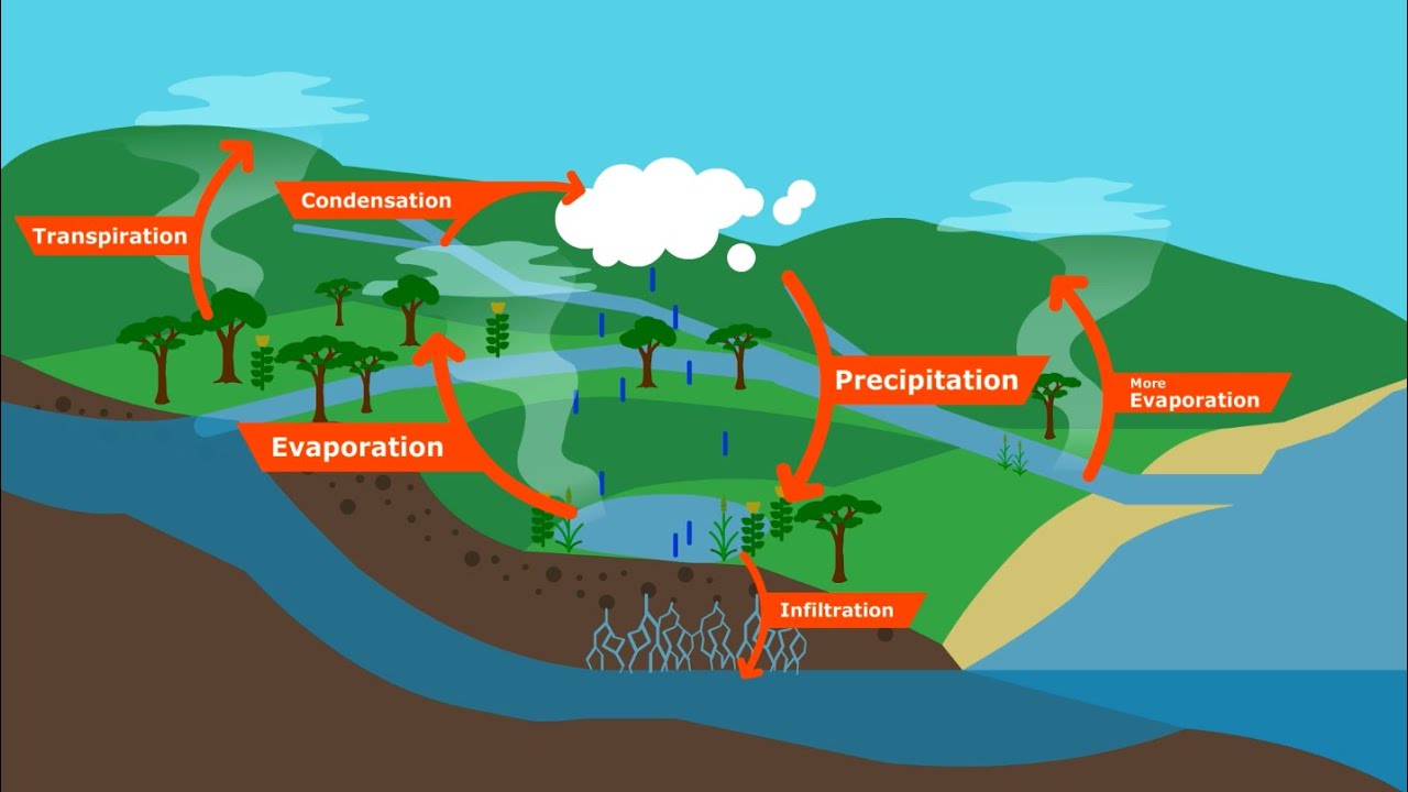 Le changement climatique et le cycle de l’eau